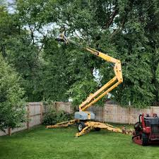 Edinburgh, IN Tree Removal Services Company